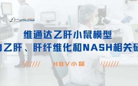 乙肝小鼠模型助力乙肝、肝纤维化和NASH相关研究