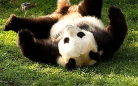 20%的钱存在「硅谷银行」，关键临床试验还失败了，扎心……