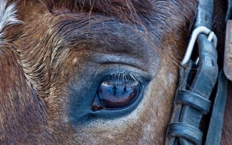 1个微创新拿到1.3亿美元融资，谁能解决这个临床需求，就能霸占24亿美元的市场……