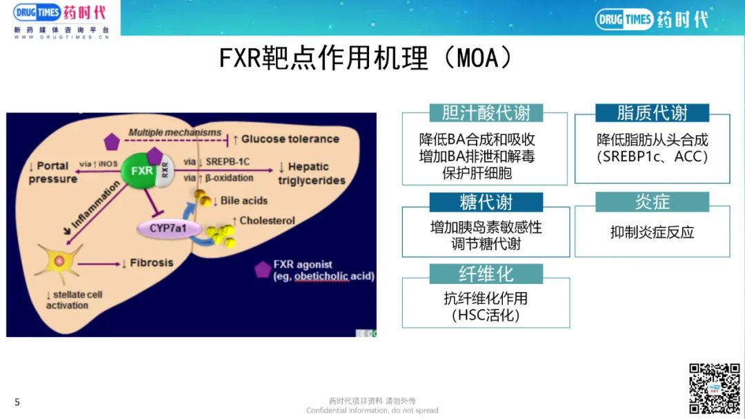 药时代BD-053项目 | 与奥贝胆酸同靶点临床II期NASH口服小分子寻求合作