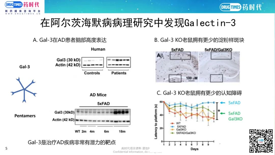 药时代BD-056项目 | 美国临床阶段生物公司寻找投资及AD项目合作