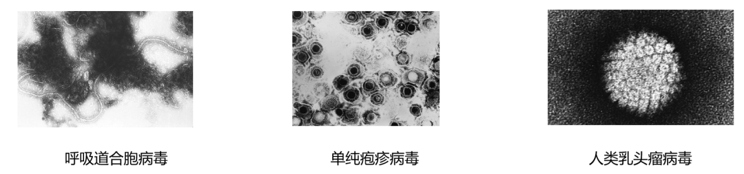 后疫情时代中国抗病毒药物领域前瞻性思考