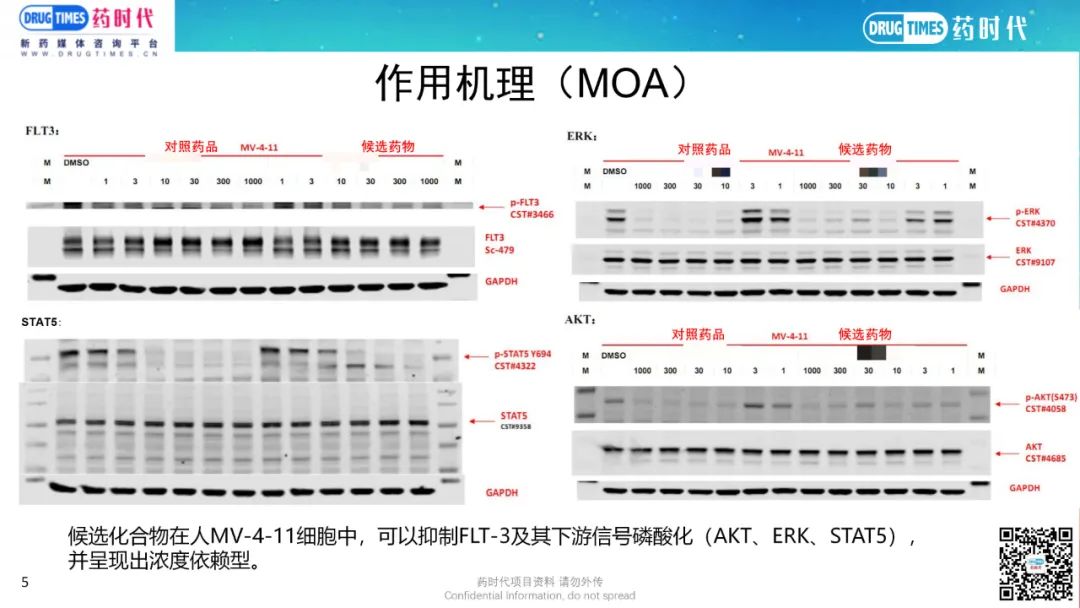 药时代BD-052项目 | FLT3靶向临床III期口服小分子寻求合作