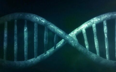 PARP抑制剂耐药机制以及解决耐药性方法