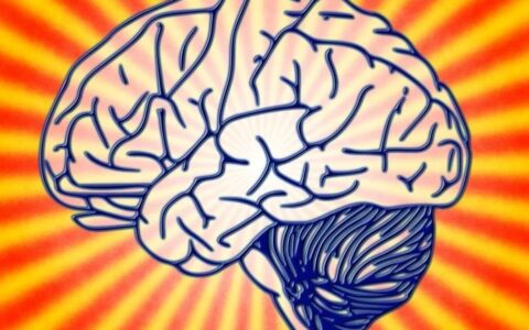 Science发文质疑：β淀粉样蛋白抗体，会导致阿尔茨海默病人大脑萎缩？