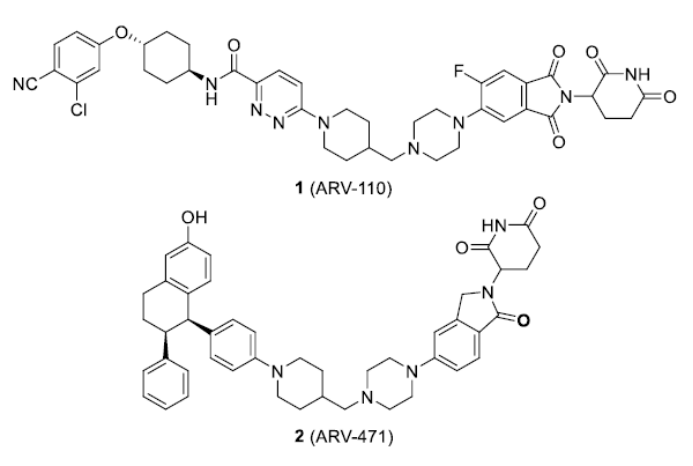 CRBN配体的作用和最新进展