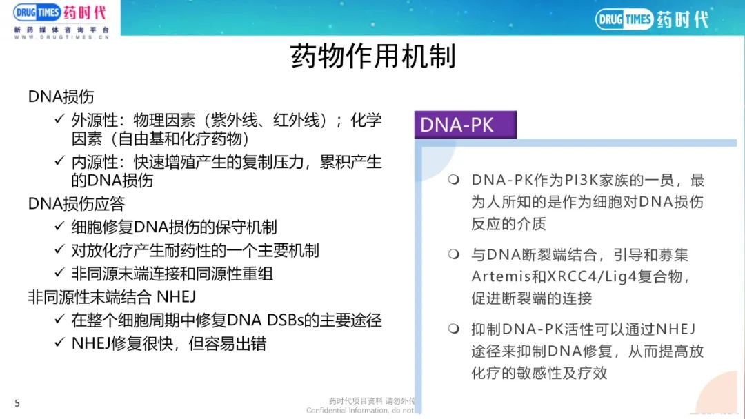 药时代BD-036项目 | DNA-PK靶向潜在FIC级别肿瘤小分子寻求合作