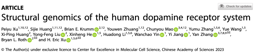 Cell Research | 徐华强团队合作揭示多巴胺受体系统介导药物分子多重药理学活性的结构基础