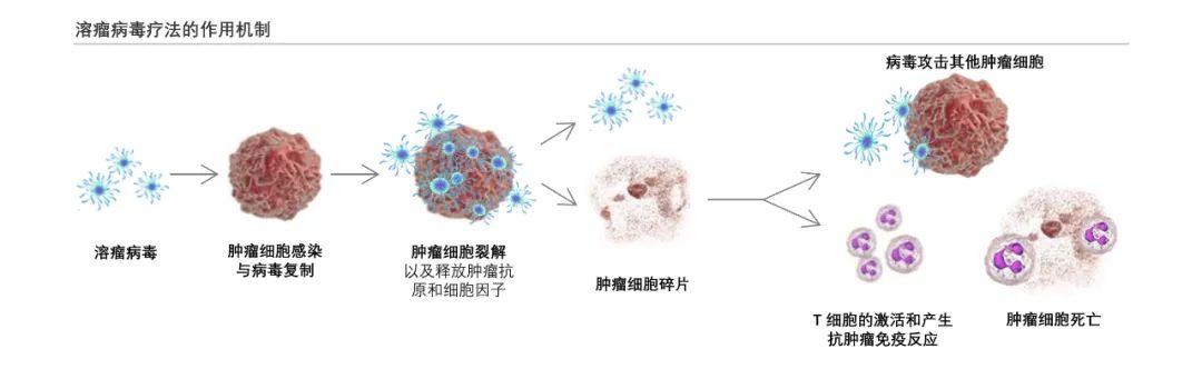 沙利文发布《中国溶瘤病毒产业发展蓝皮书》（内附全文获取方式）