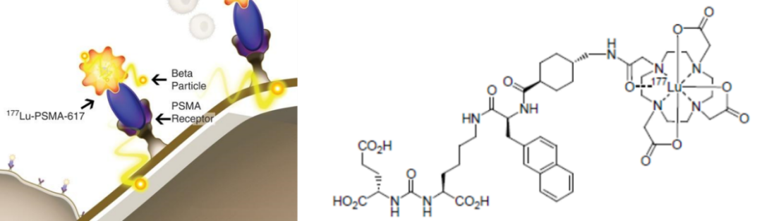 谢雨礼博士：药物递送——生物医药未来的“卡脖子”技术