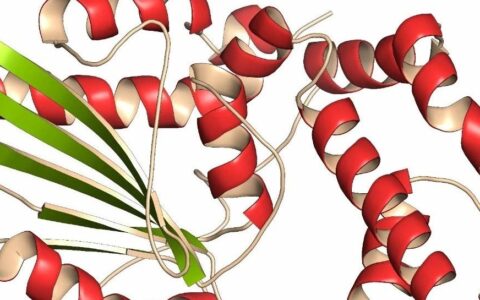 Pfizer放弃“继子”，决定结束与Syros合作