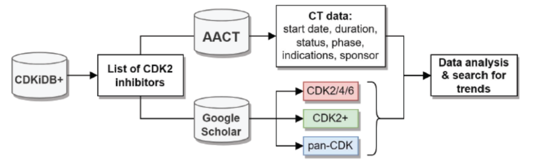 临床CDK2抑制剂：选择性和有效性的趋势 | 「药时代靶点说」系列文章
