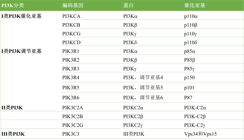 PI3K抑制剂频频折戟，为何只有诺华的脱颖而出？而且，卖的还挺好……