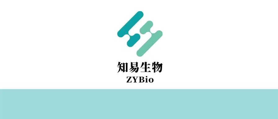 默沙东「可乐组合」启示录