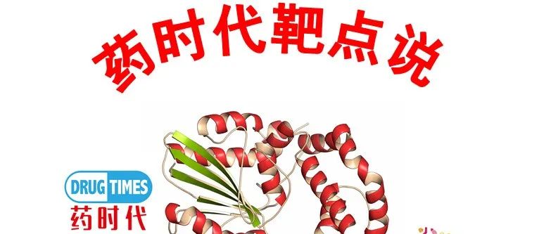 Science：靶向突变KRAS与分子伴侣蛋白的活性状态