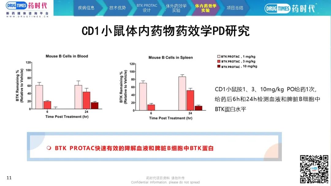 药时代BD-086项目 | 口服BTK PROTAC降解剂寻求中国合作伙伴