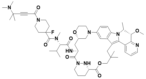 Science：靶向突变KRAS与分子伴侣蛋白的活性状态