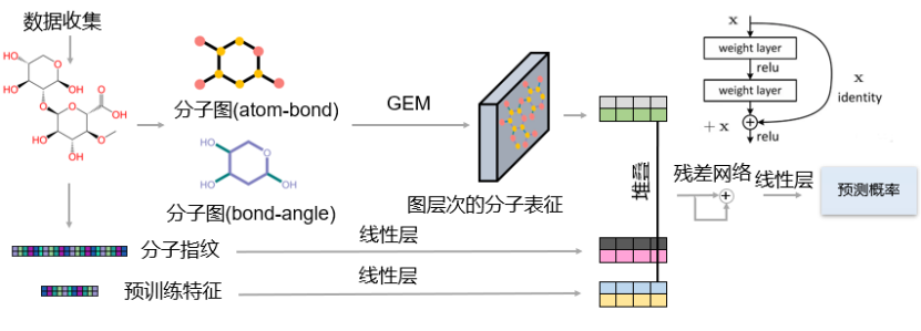 上海药物所与凯思凯迪联合团队在首届AI药物研发算法大赛上取得优异成绩