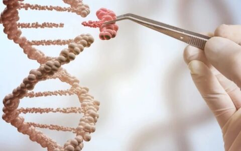 首个！RNAi 癌症疗法领域的 I 期临床试验取得积极结果！