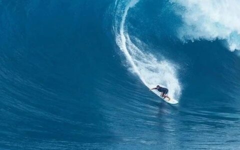 君实PD-1通过FDA生产现场核查背后：翻译文件超千万字，5次模拟考，2次正式核查，以及持续建设的国际化体系……