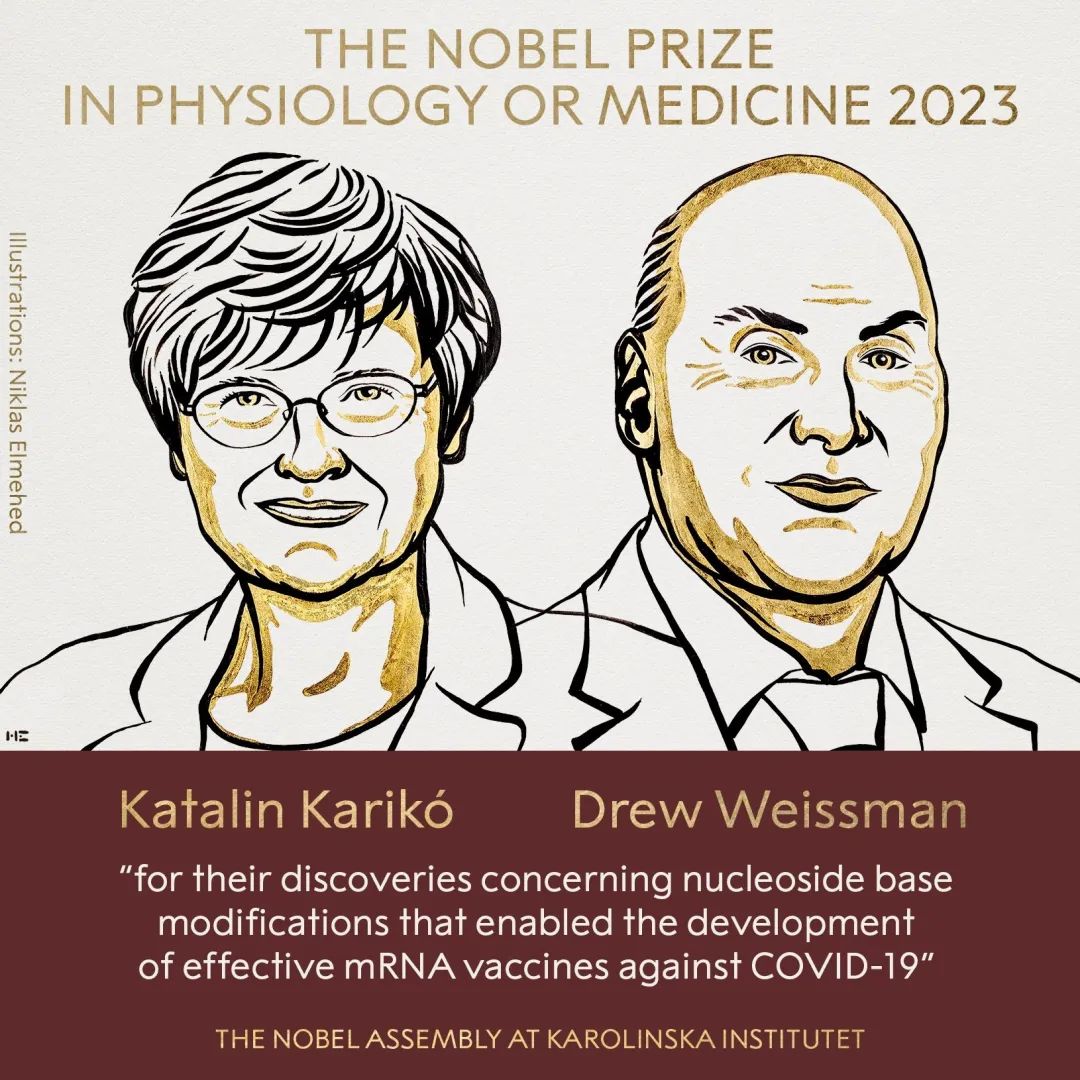 mRNA技术！2023诺贝尔生理学或医学奖获奖结果出炉……