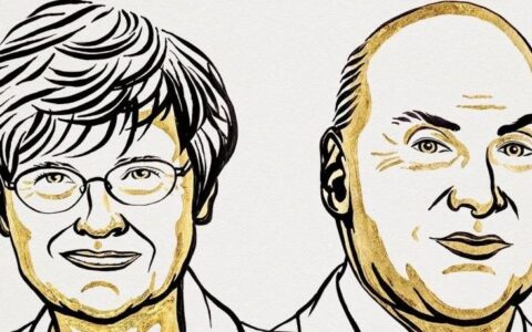 mRNA技术！2023诺贝尔生理学或医学奖获奖结果出炉……