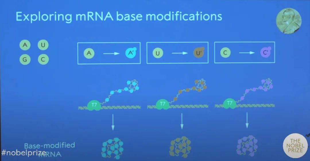 诺奖背后的科学之路！两大突破，引领了mRNA疫苗的诞生【附：诺奖典礼全程视频】