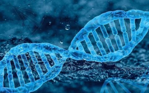 中国基因疗法赛道驶入高速期，跨国药企纷纷牵手本土新锐