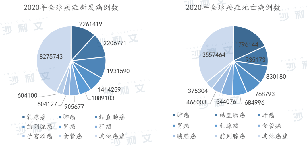 中国首个TIL疗法进入临床，一文看懂近两年增幅最大的实体瘤细胞免疫疗法