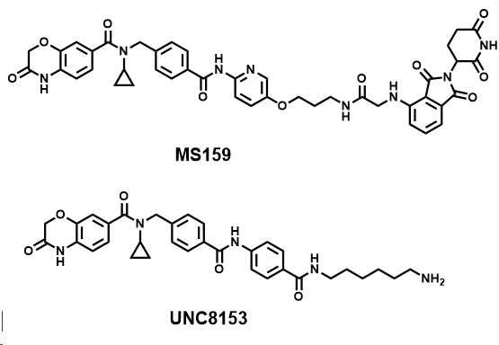 打破传统E3泛素连接酶，挖掘新型E3泛素连接酶FBXO22的NSD2降解剂