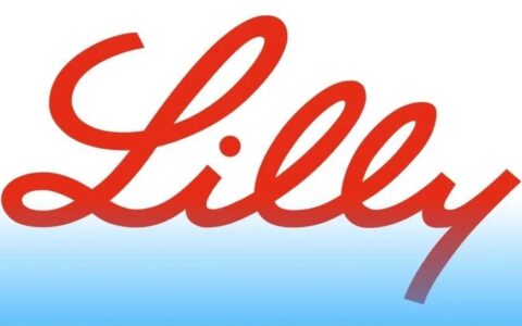 体重降幅超20%，1060美元/月！礼来的替尔泊肽获批减肥适应症