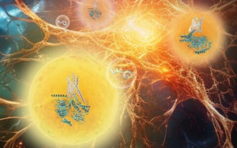 Nature |上海药物所徐华强课题组与合作者共同揭示“冰毒”与其受体TAAR1的分子识别机制