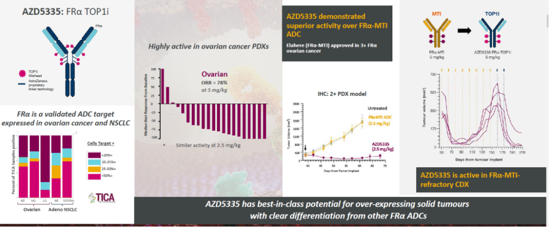 首款FRα ADC上市一年销量超2亿美元，FRα ADC进展如何？