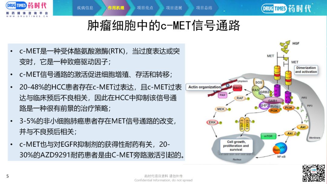 药时代BD-116项目 | 高活性、高选择性潜在BIC的c-MET靶向小分子抑制剂寻求合作