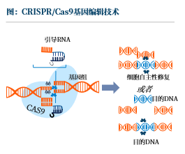 沙利文发布《基因药物行业现状与发展趋势蓝皮书》（内附全文获取方式）