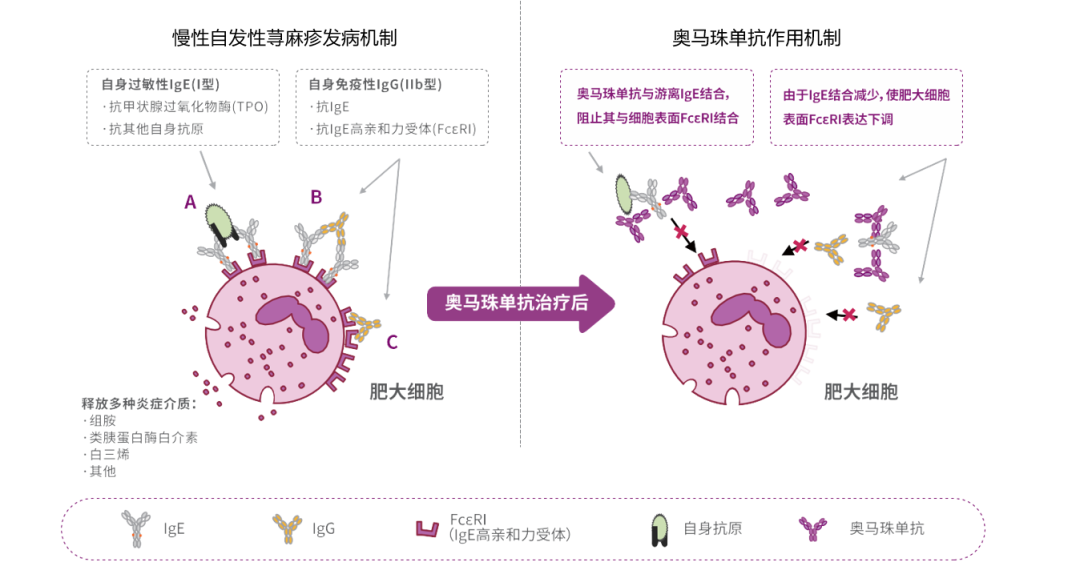 诺华的自免帝国