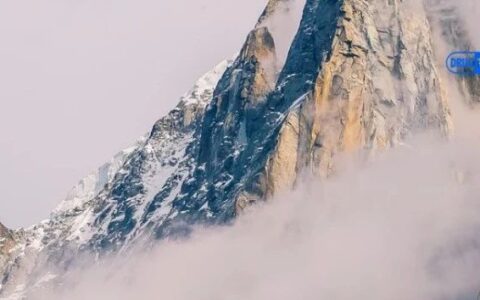 近30年首款！渤健ALS新药或将将在欧洲获批，如果不是沾了基因疗法的光......