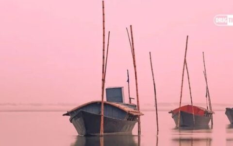 如果失去"自免TOP 1"，艾伯维会被谁取代？