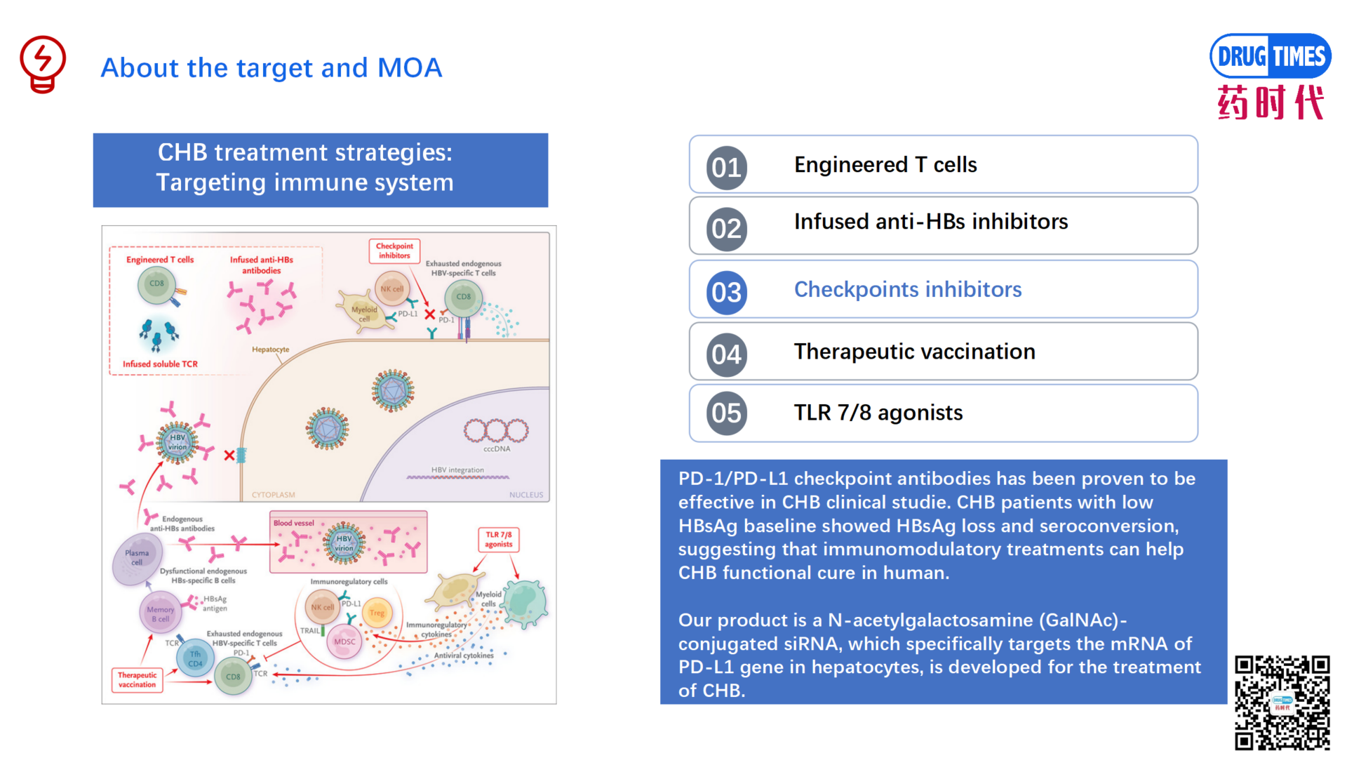 A PD-L1 siRNA that Can Boost Immune Response for CHB Functional Cure 【Product for Licensing】
