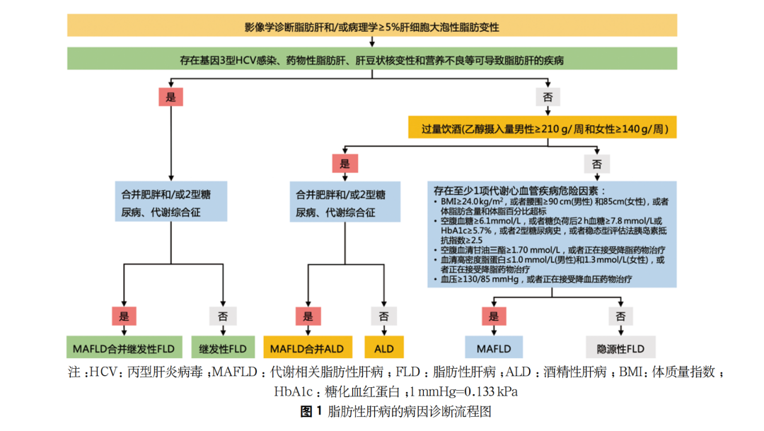 「肝炎」新药，下一个赛点在哪儿？