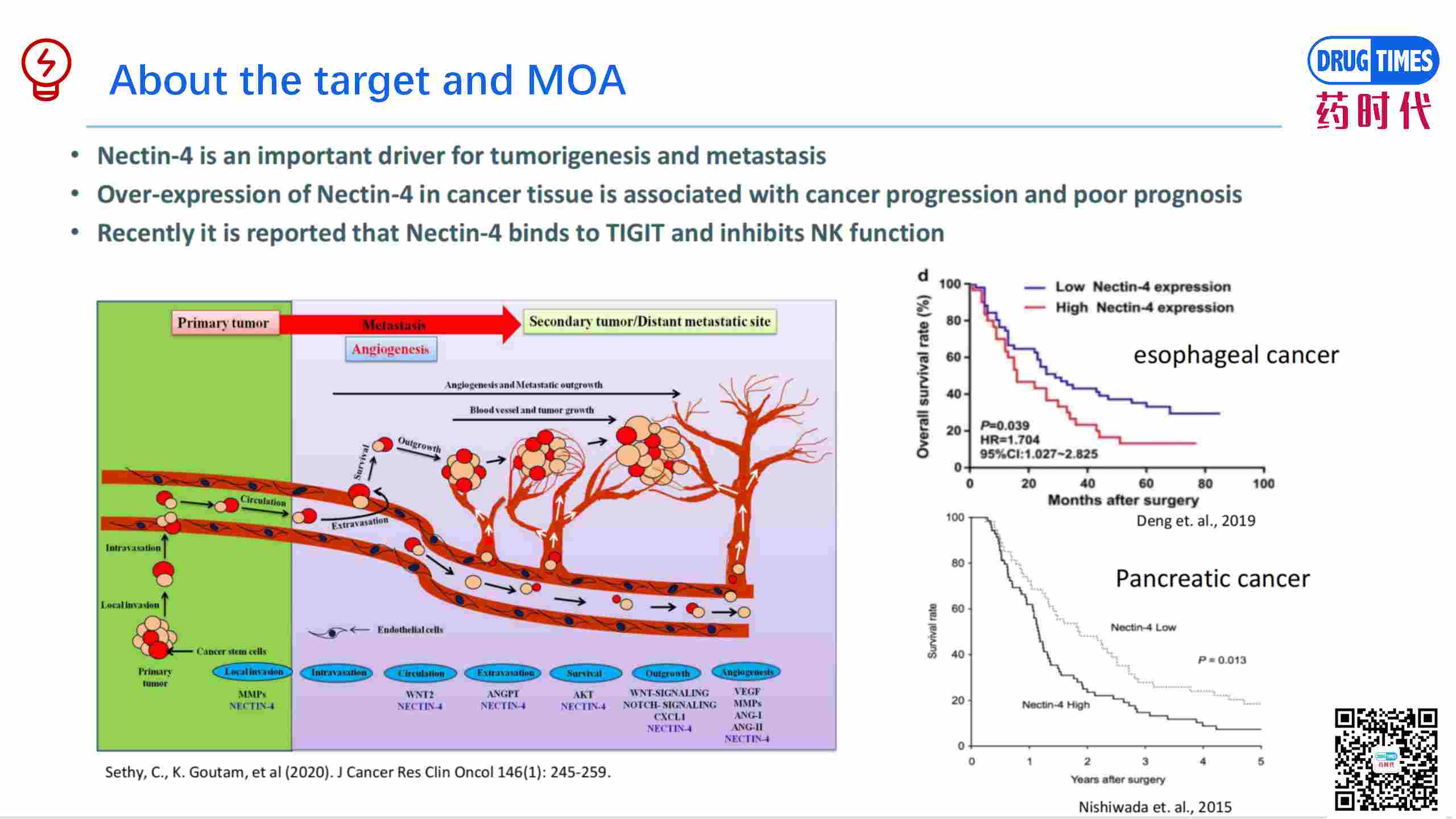 High Binding Affinities and Potent Anti-tumor Efficacy Nectin4-CD137 BsAb 【Product for Licensing】