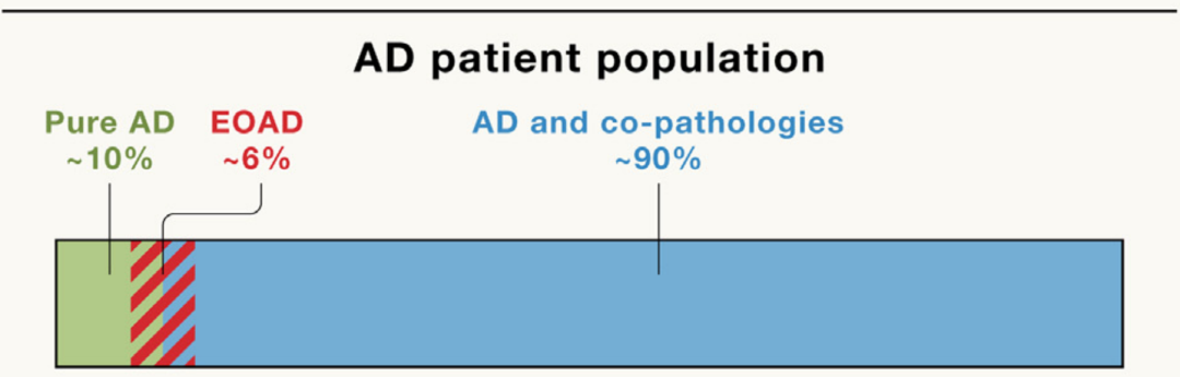 The development of new drugs for Alzheimer's disease needs to adopt a holistic approach