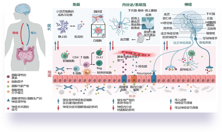 The development of new drugs for Alzheimer's disease needs to adopt a holistic approach