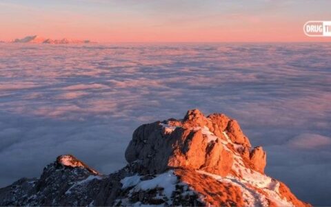 礼来管线分析：基因疗法管线占1/3，瞄准什么疾病？