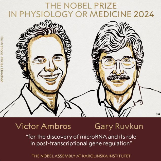 快讯！Victor Ambros教授和Gary Ruvkun教授凭microRNA研究成果荣获2024年诺贝尔生理学或医学奖