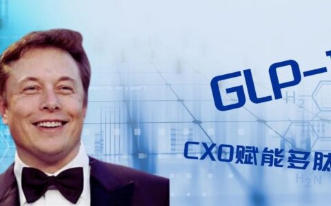 马斯克的这个爱好，也带火了药明康德!