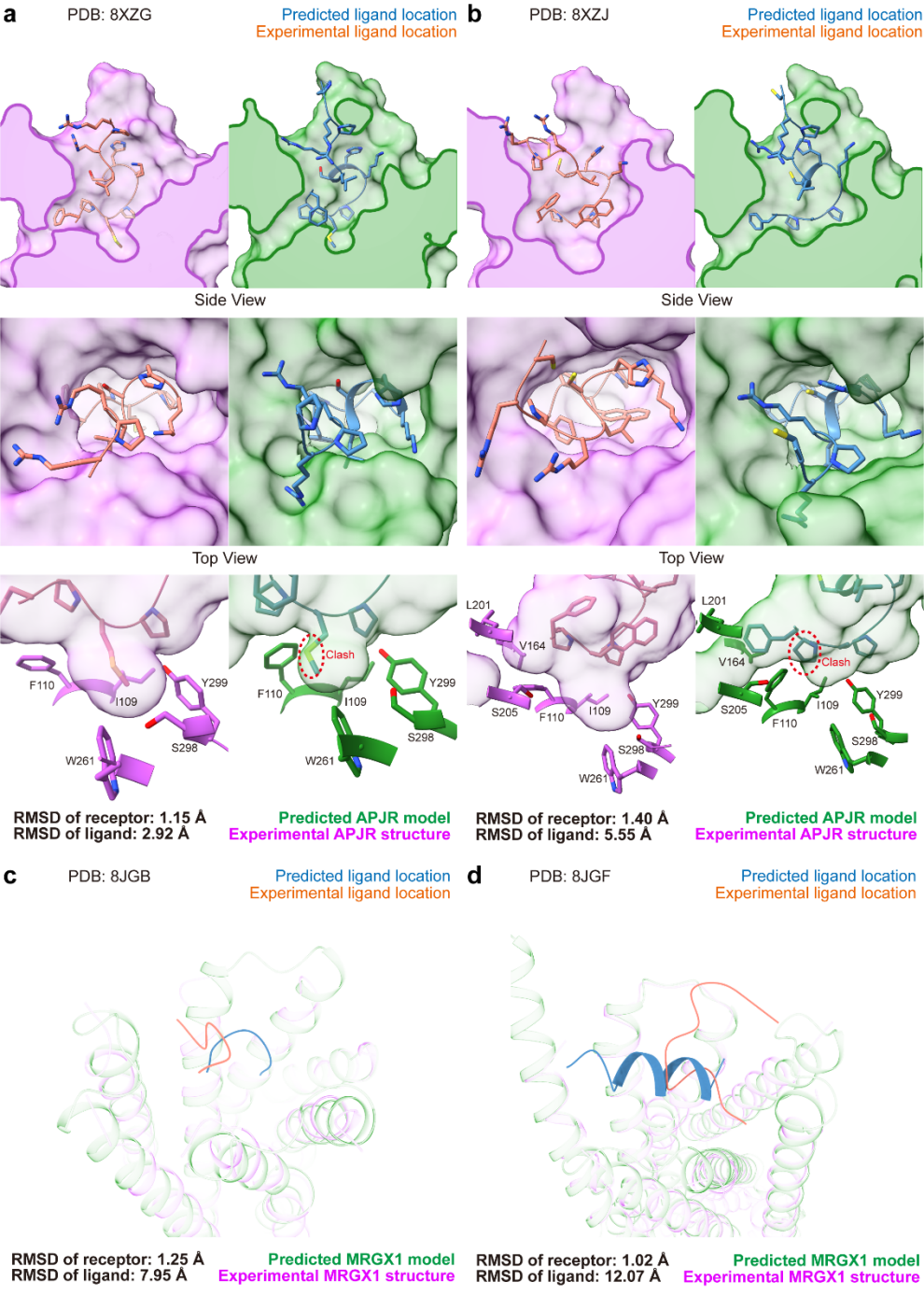 Acta Pharmacol Sin| 上海药物所评测AlphaFold3的GPCR-配体复合物预测表现能力显示实验结构的必要性