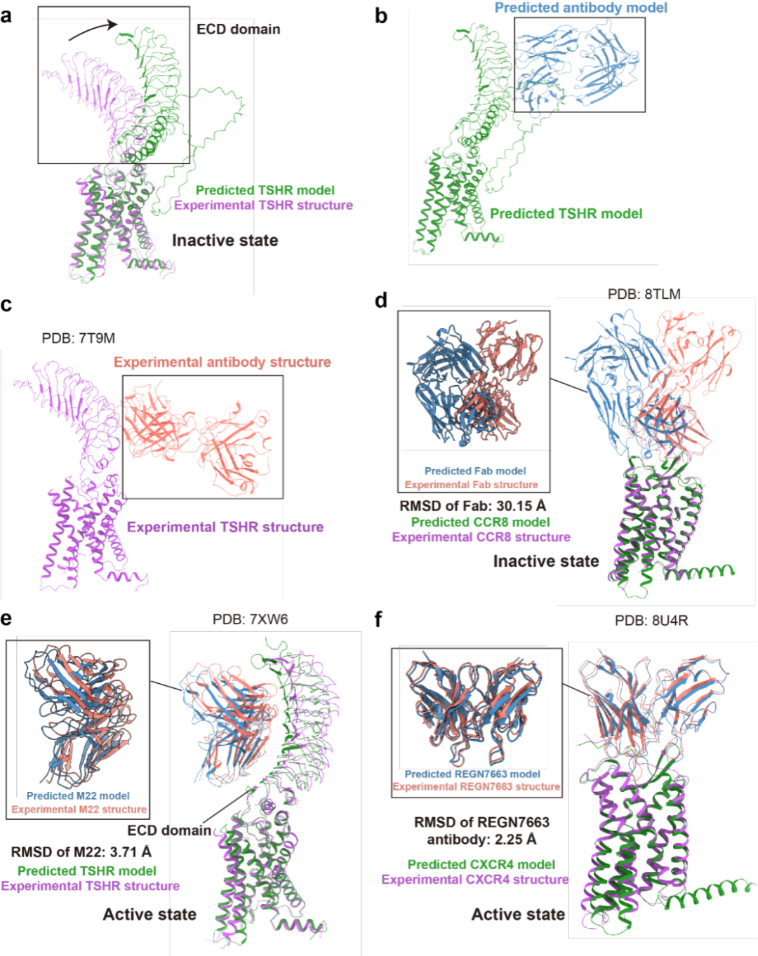 Acta Pharmacol Sin| 上海药物所评测AlphaFold3的GPCR-配体复合物预测表现能力显示实验结构的必要性