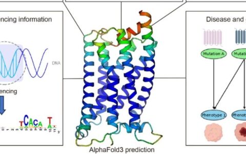 Acta Pharmacol Sin| 上海药物所评测AlphaFold3的GPCR-配体复合物预测表现能力显示实验结构的必要性