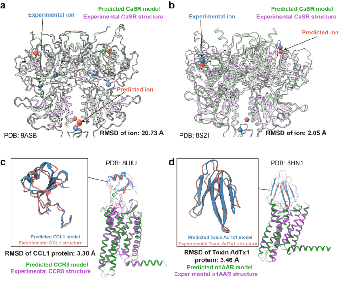 Acta Pharmacol Sin| 上海药物所评测AlphaFold3的GPCR-配体复合物预测表现能力显示实验结构的必要性